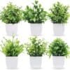 artificial green plant indoor outdoor