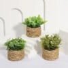 green artificial potted plant