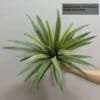 Artificial Aloe and Agave Potted Plant Tropical Desert Fake Succulent for Home Décor Desktop Office Living Room Green Decoration