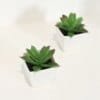1PC Mini Artificial Succulent Plastic Potted Plant, Office Desktop Display Rack And Bookshelf Decoration