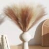 pampas grass home decor