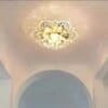 Flower Shape LED Crystal Ceiling Light Modern Ceiling Lamp for Hallway Living Room Bedroom