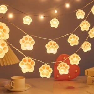 utdoor decorative LED string lights
