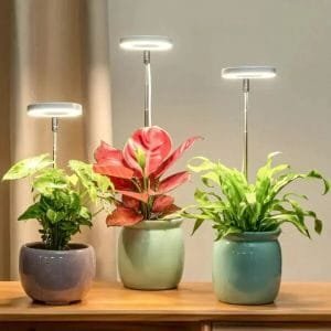 Indoor plant grow lamp